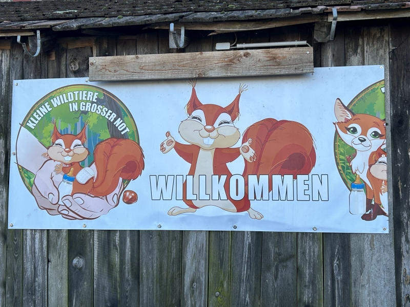 Weihnachtsaktion „Christkindl für Tierheimtiere“ 2023
