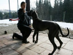 doggenmaedchen_diva