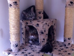 Lucy und Mina