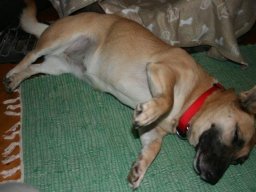 Mari_relaxed