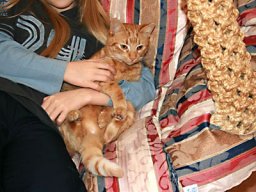 Mika-umarmt-kuscheln
