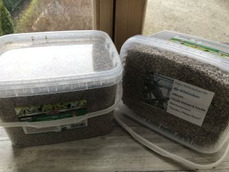 Futter für die Wildtauben