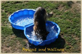 Freizeit und Wellness