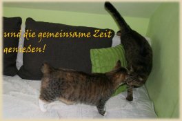 gemeinsame Zeit
