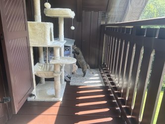 Molly Hierzer auf dem Balkon