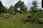 Garten westseitig